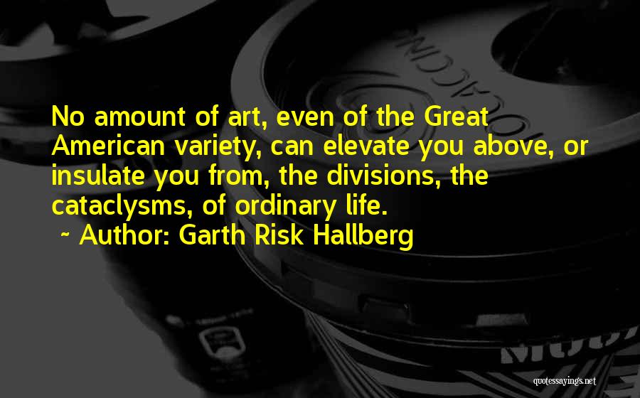 Garth Risk Hallberg Quotes: No Amount Of Art, Even Of The Great American Variety, Can Elevate You Above, Or Insulate You From, The Divisions,