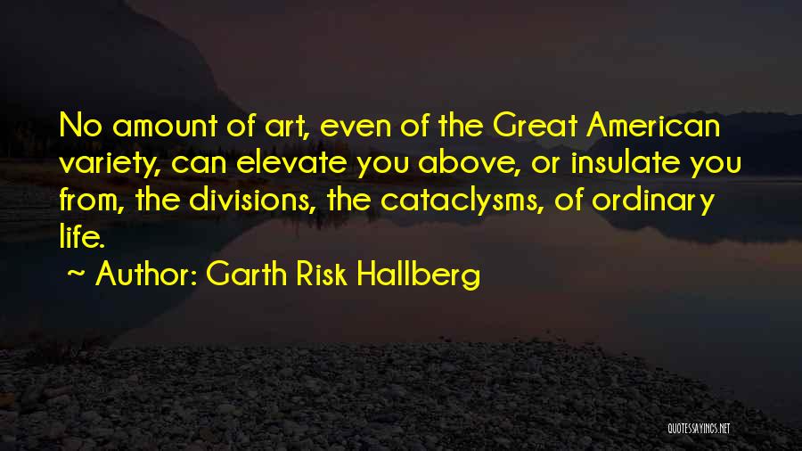 Garth Risk Hallberg Quotes: No Amount Of Art, Even Of The Great American Variety, Can Elevate You Above, Or Insulate You From, The Divisions,