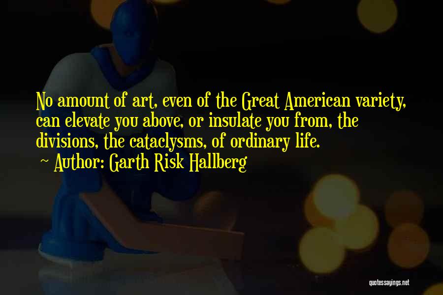 Garth Risk Hallberg Quotes: No Amount Of Art, Even Of The Great American Variety, Can Elevate You Above, Or Insulate You From, The Divisions,