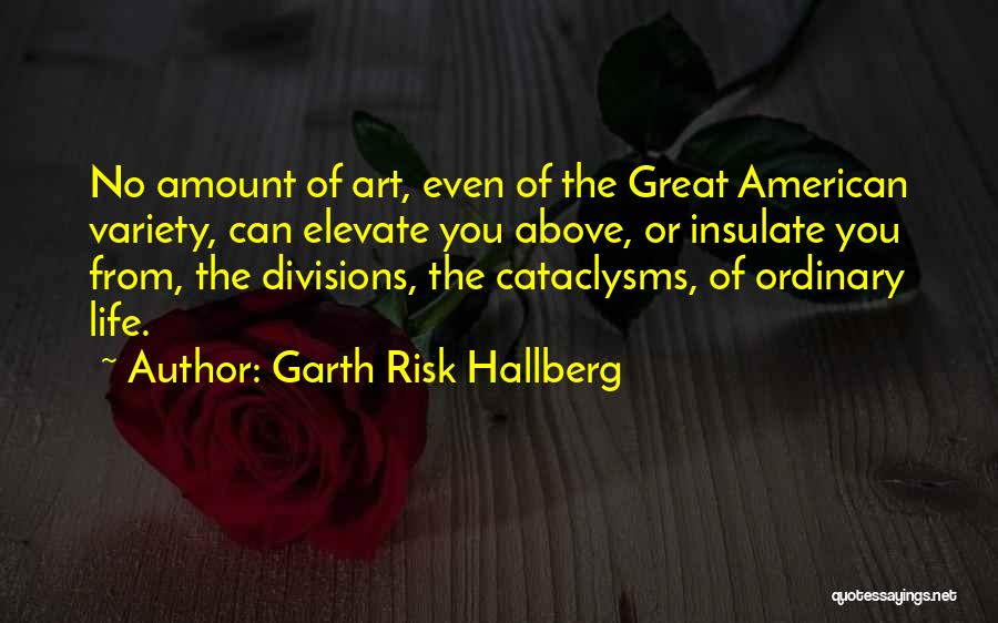Garth Risk Hallberg Quotes: No Amount Of Art, Even Of The Great American Variety, Can Elevate You Above, Or Insulate You From, The Divisions,