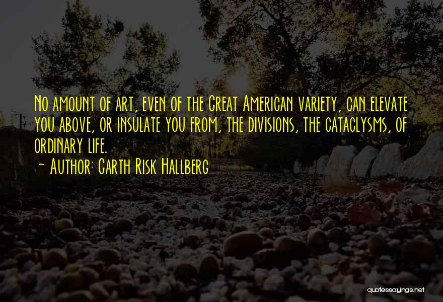 Garth Risk Hallberg Quotes: No Amount Of Art, Even Of The Great American Variety, Can Elevate You Above, Or Insulate You From, The Divisions,