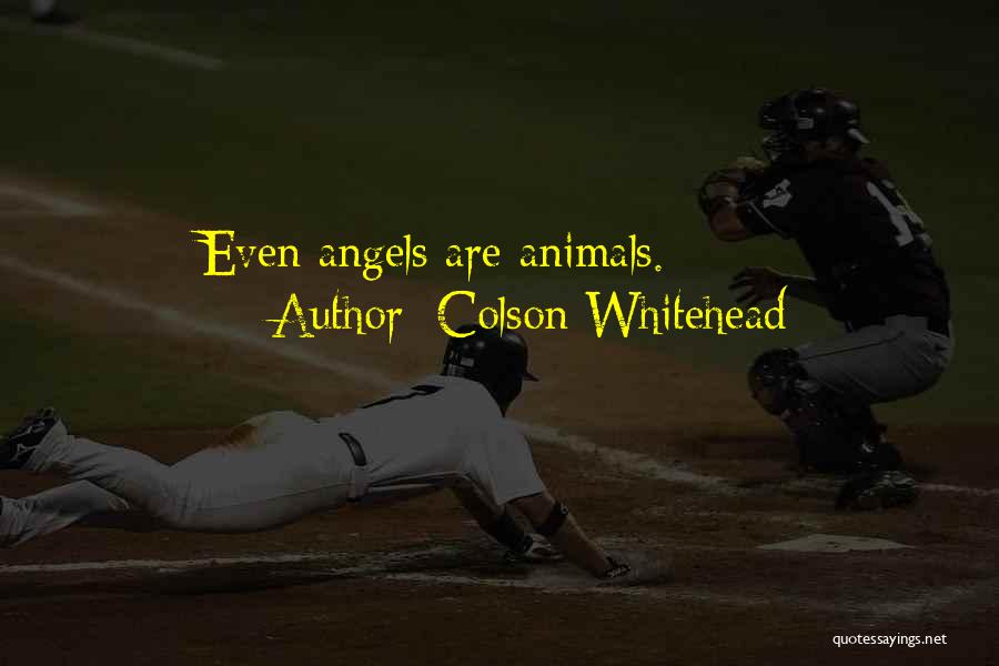 Colson Whitehead Quotes: Even Angels Are Animals.