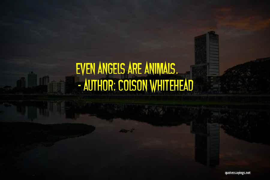 Colson Whitehead Quotes: Even Angels Are Animals.