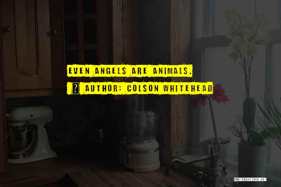 Colson Whitehead Quotes: Even Angels Are Animals.