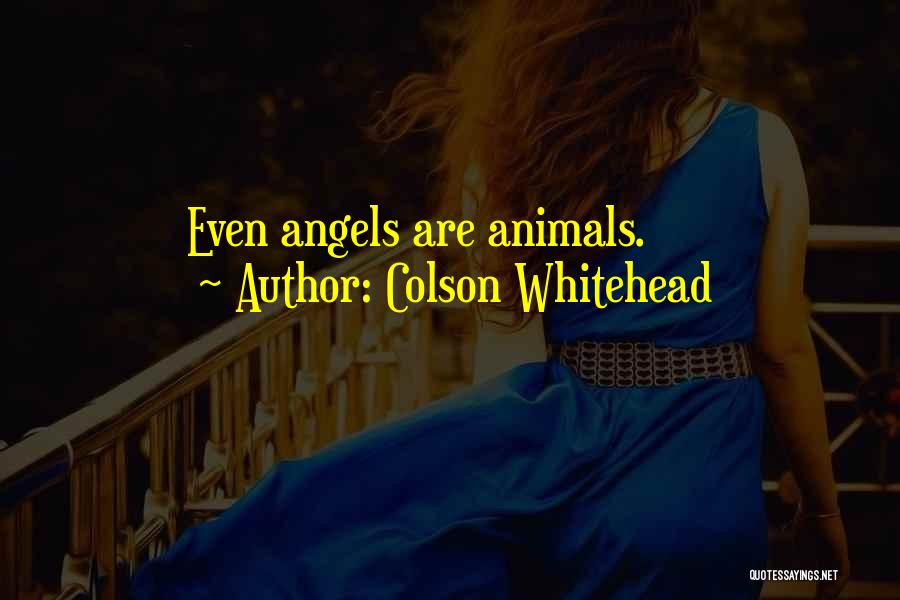 Colson Whitehead Quotes: Even Angels Are Animals.