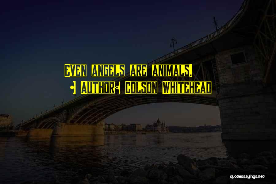 Colson Whitehead Quotes: Even Angels Are Animals.