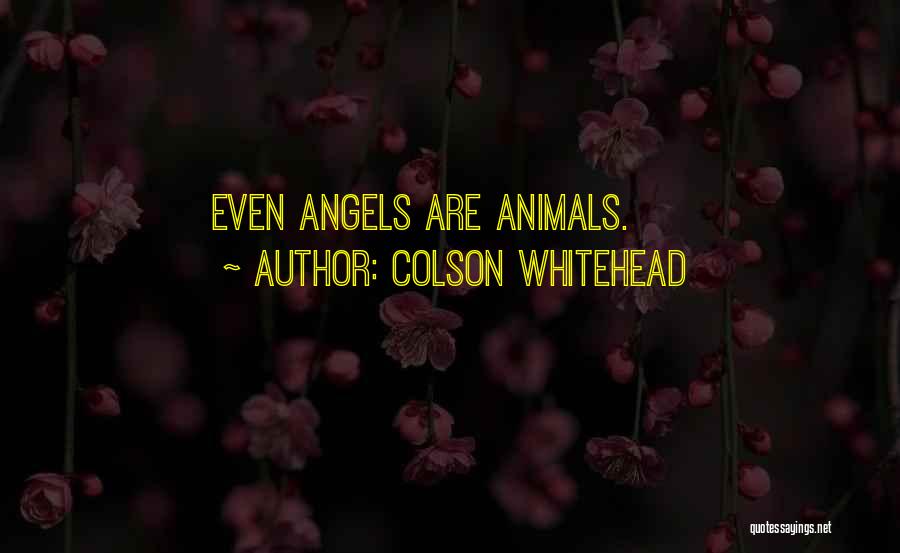 Colson Whitehead Quotes: Even Angels Are Animals.