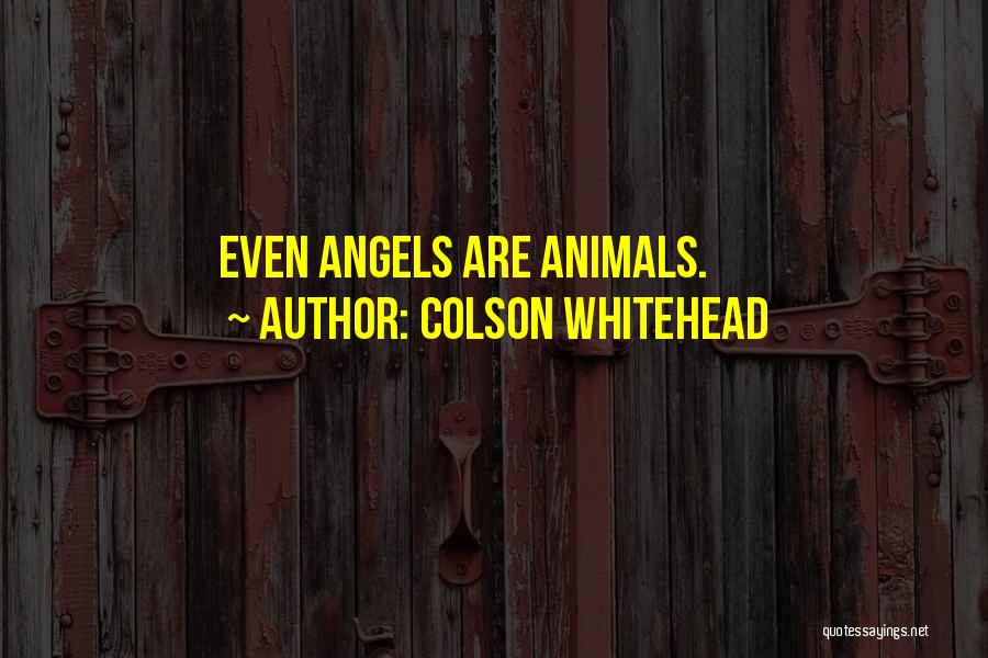 Colson Whitehead Quotes: Even Angels Are Animals.