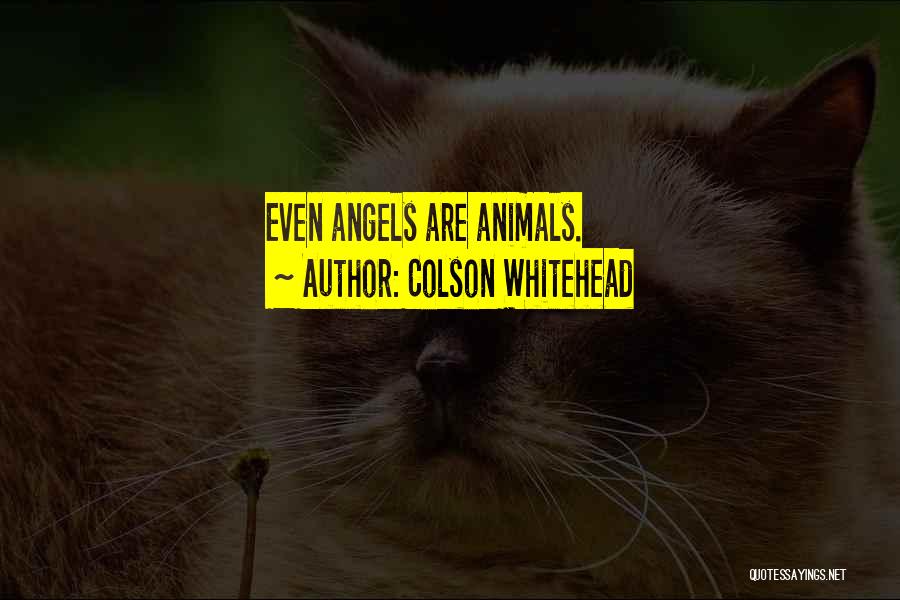 Colson Whitehead Quotes: Even Angels Are Animals.