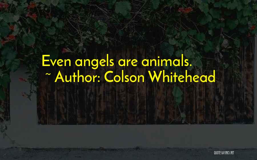 Colson Whitehead Quotes: Even Angels Are Animals.