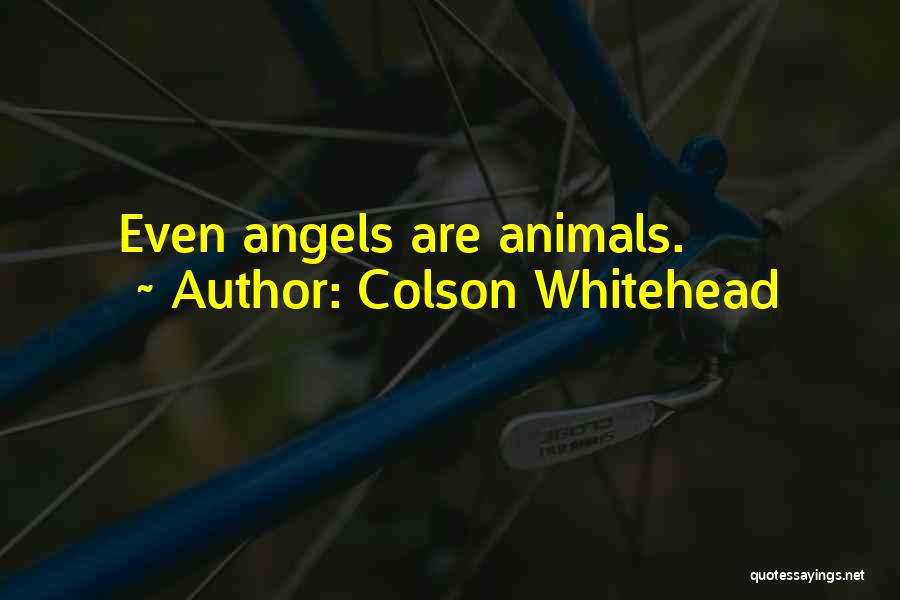 Colson Whitehead Quotes: Even Angels Are Animals.