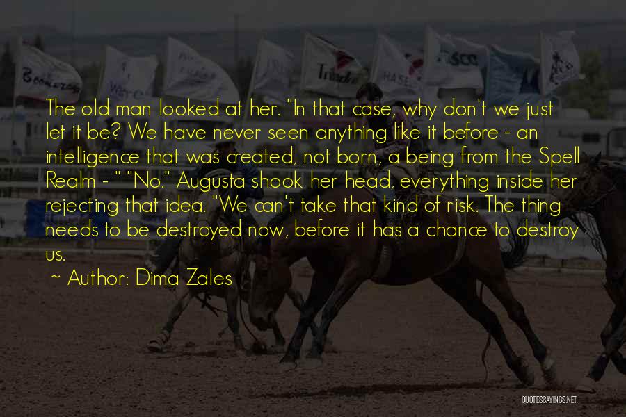 Dima Zales Quotes: The Old Man Looked At Her. In That Case, Why Don't We Just Let It Be? We Have Never Seen