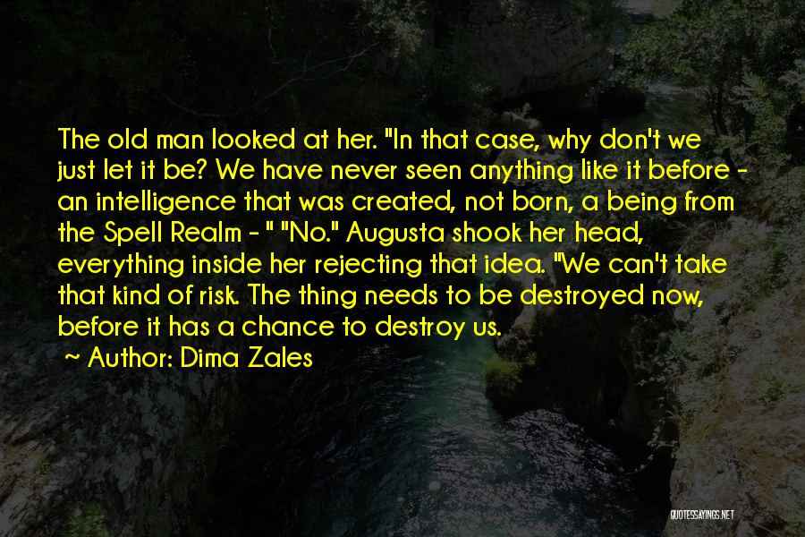 Dima Zales Quotes: The Old Man Looked At Her. In That Case, Why Don't We Just Let It Be? We Have Never Seen