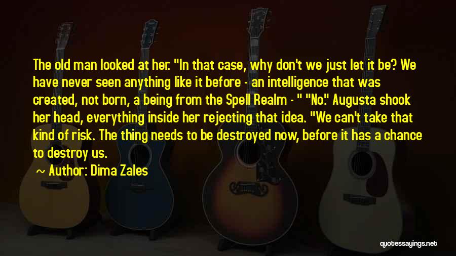 Dima Zales Quotes: The Old Man Looked At Her. In That Case, Why Don't We Just Let It Be? We Have Never Seen