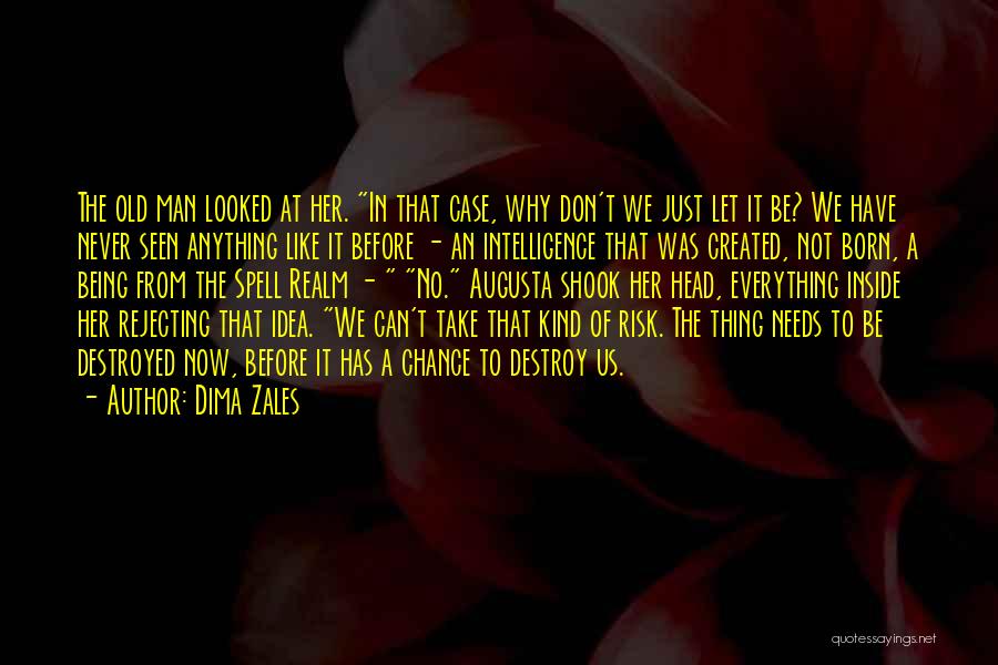 Dima Zales Quotes: The Old Man Looked At Her. In That Case, Why Don't We Just Let It Be? We Have Never Seen