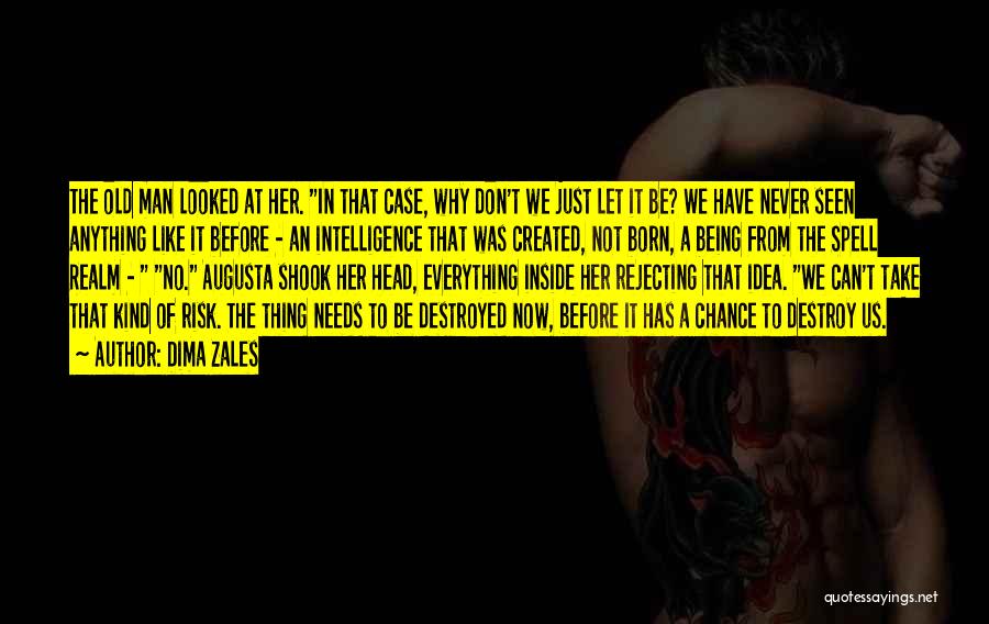 Dima Zales Quotes: The Old Man Looked At Her. In That Case, Why Don't We Just Let It Be? We Have Never Seen