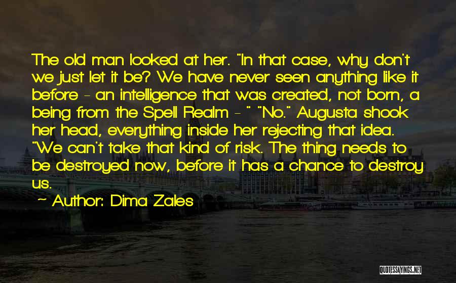 Dima Zales Quotes: The Old Man Looked At Her. In That Case, Why Don't We Just Let It Be? We Have Never Seen