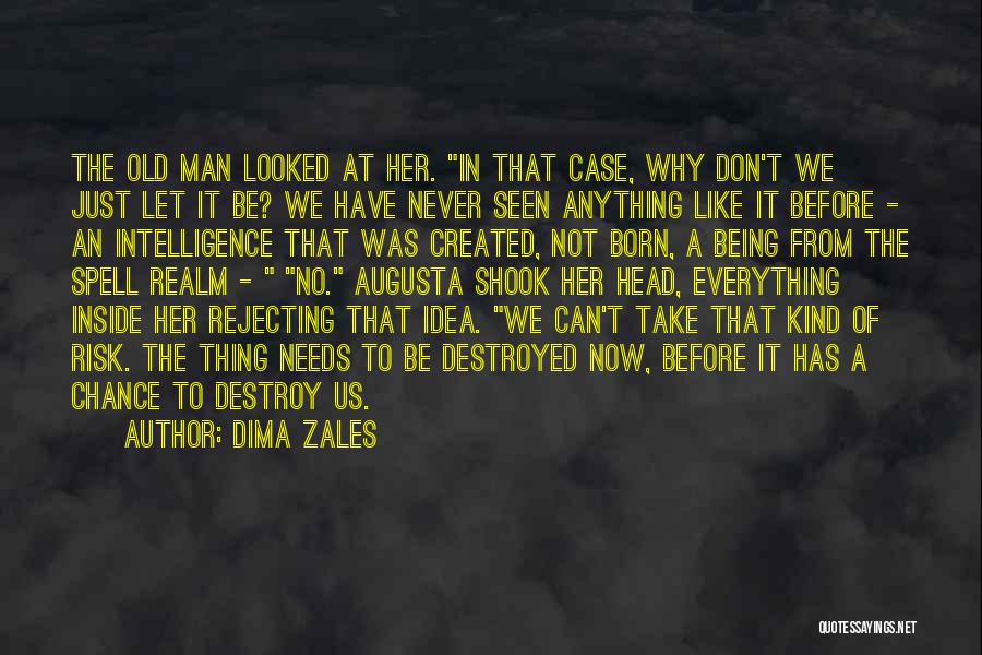 Dima Zales Quotes: The Old Man Looked At Her. In That Case, Why Don't We Just Let It Be? We Have Never Seen