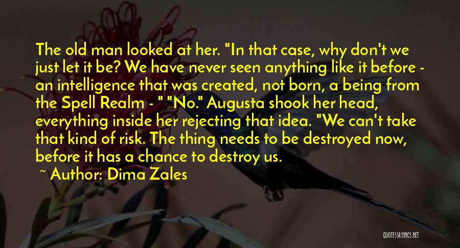 Dima Zales Quotes: The Old Man Looked At Her. In That Case, Why Don't We Just Let It Be? We Have Never Seen