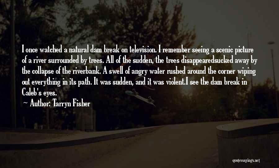 Tarryn Fisher Quotes: I Once Watched A Natural Dam Break On Television. I Remember Seeing A Scenic Picture Of A River Surrounded By