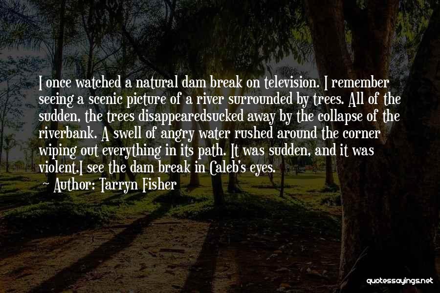 Tarryn Fisher Quotes: I Once Watched A Natural Dam Break On Television. I Remember Seeing A Scenic Picture Of A River Surrounded By