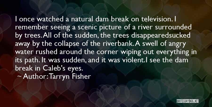 Tarryn Fisher Quotes: I Once Watched A Natural Dam Break On Television. I Remember Seeing A Scenic Picture Of A River Surrounded By