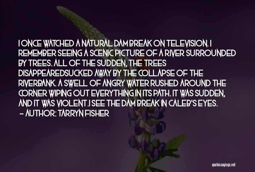 Tarryn Fisher Quotes: I Once Watched A Natural Dam Break On Television. I Remember Seeing A Scenic Picture Of A River Surrounded By