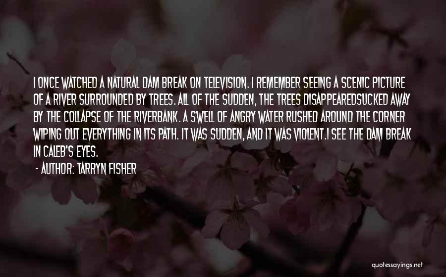 Tarryn Fisher Quotes: I Once Watched A Natural Dam Break On Television. I Remember Seeing A Scenic Picture Of A River Surrounded By