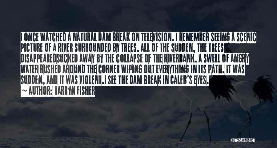 Tarryn Fisher Quotes: I Once Watched A Natural Dam Break On Television. I Remember Seeing A Scenic Picture Of A River Surrounded By