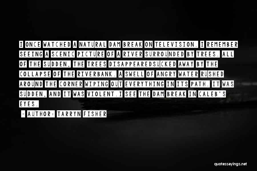 Tarryn Fisher Quotes: I Once Watched A Natural Dam Break On Television. I Remember Seeing A Scenic Picture Of A River Surrounded By