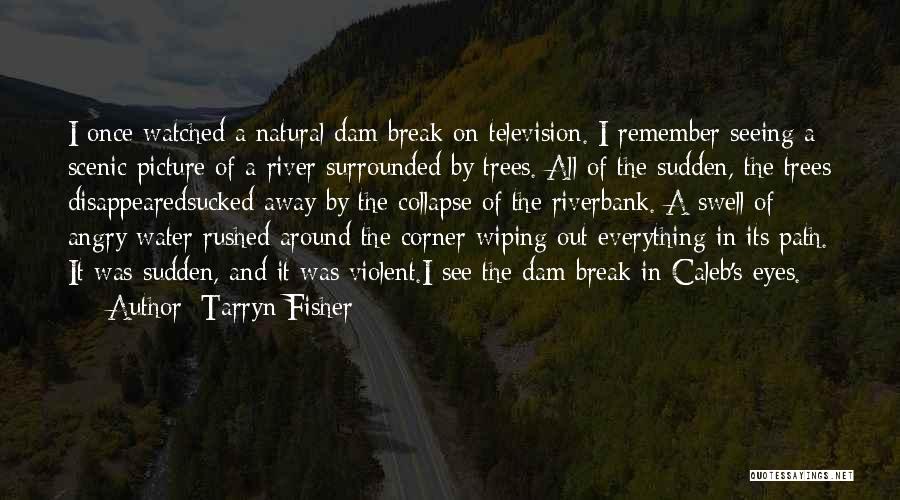 Tarryn Fisher Quotes: I Once Watched A Natural Dam Break On Television. I Remember Seeing A Scenic Picture Of A River Surrounded By