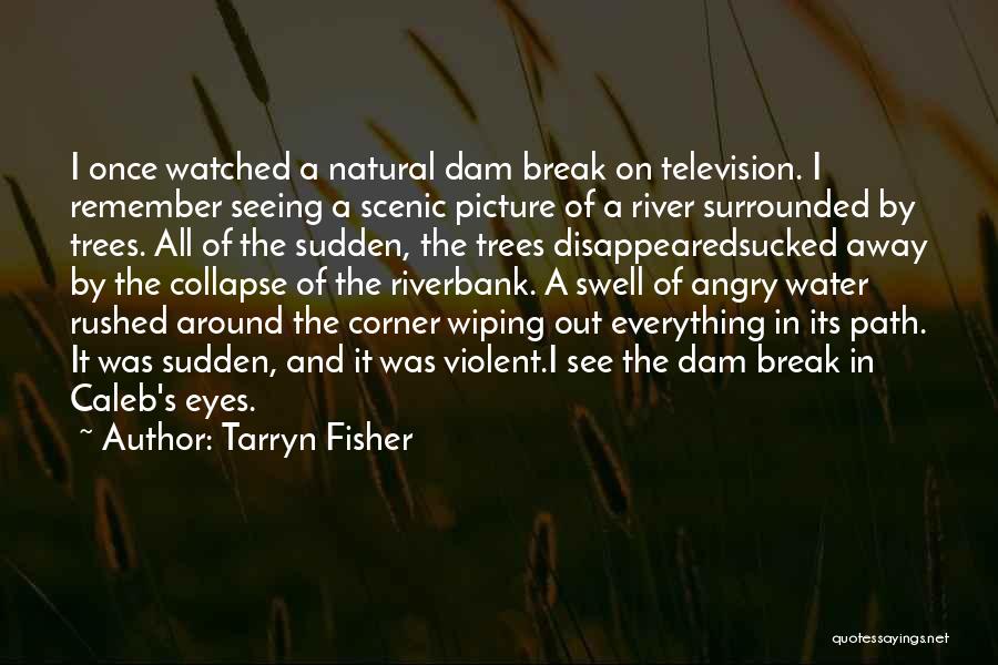 Tarryn Fisher Quotes: I Once Watched A Natural Dam Break On Television. I Remember Seeing A Scenic Picture Of A River Surrounded By