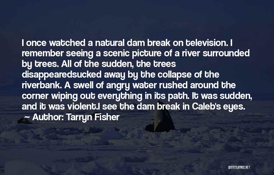 Tarryn Fisher Quotes: I Once Watched A Natural Dam Break On Television. I Remember Seeing A Scenic Picture Of A River Surrounded By