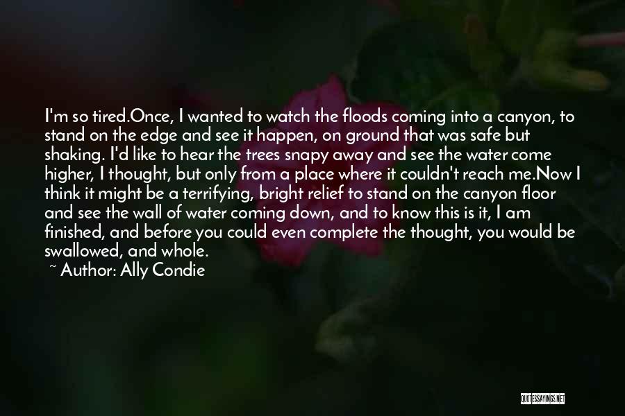 Ally Condie Quotes: I'm So Tired.once, I Wanted To Watch The Floods Coming Into A Canyon, To Stand On The Edge And See
