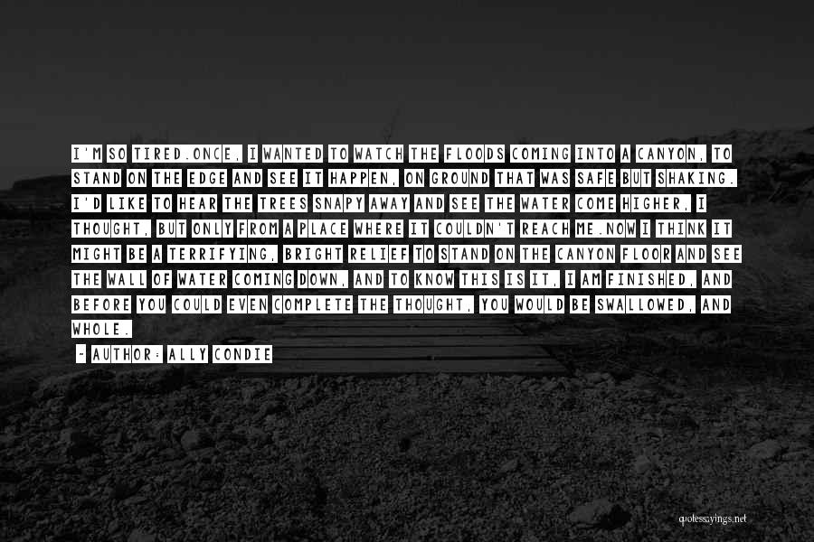 Ally Condie Quotes: I'm So Tired.once, I Wanted To Watch The Floods Coming Into A Canyon, To Stand On The Edge And See