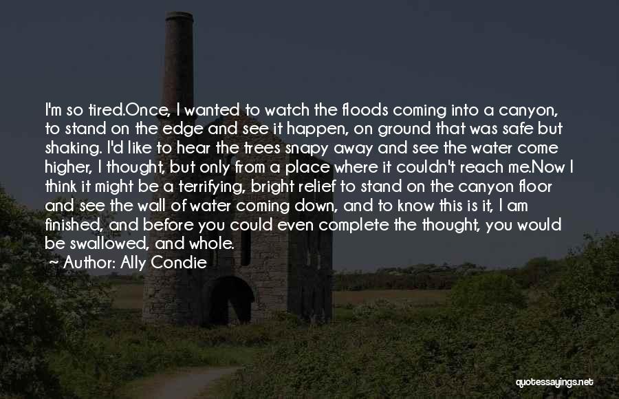 Ally Condie Quotes: I'm So Tired.once, I Wanted To Watch The Floods Coming Into A Canyon, To Stand On The Edge And See