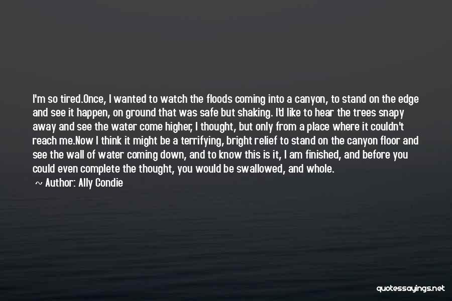 Ally Condie Quotes: I'm So Tired.once, I Wanted To Watch The Floods Coming Into A Canyon, To Stand On The Edge And See