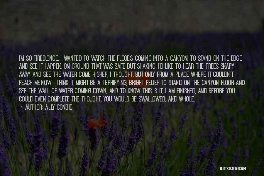 Ally Condie Quotes: I'm So Tired.once, I Wanted To Watch The Floods Coming Into A Canyon, To Stand On The Edge And See