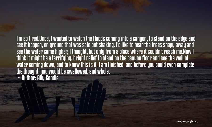 Ally Condie Quotes: I'm So Tired.once, I Wanted To Watch The Floods Coming Into A Canyon, To Stand On The Edge And See