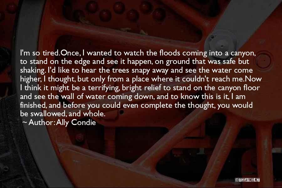 Ally Condie Quotes: I'm So Tired.once, I Wanted To Watch The Floods Coming Into A Canyon, To Stand On The Edge And See