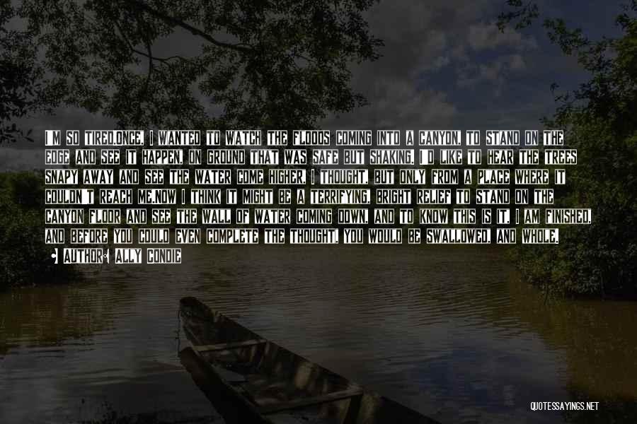 Ally Condie Quotes: I'm So Tired.once, I Wanted To Watch The Floods Coming Into A Canyon, To Stand On The Edge And See