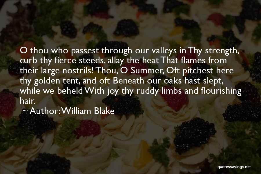 William Blake Quotes: O Thou Who Passest Through Our Valleys In Thy Strength, Curb Thy Fierce Steeds, Allay The Heat That Flames From