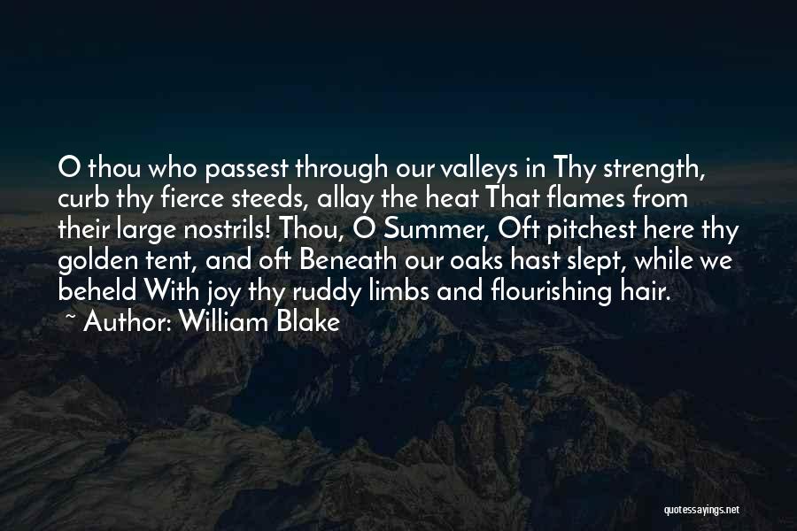 William Blake Quotes: O Thou Who Passest Through Our Valleys In Thy Strength, Curb Thy Fierce Steeds, Allay The Heat That Flames From