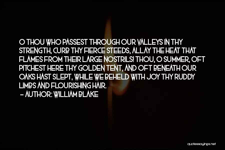 William Blake Quotes: O Thou Who Passest Through Our Valleys In Thy Strength, Curb Thy Fierce Steeds, Allay The Heat That Flames From