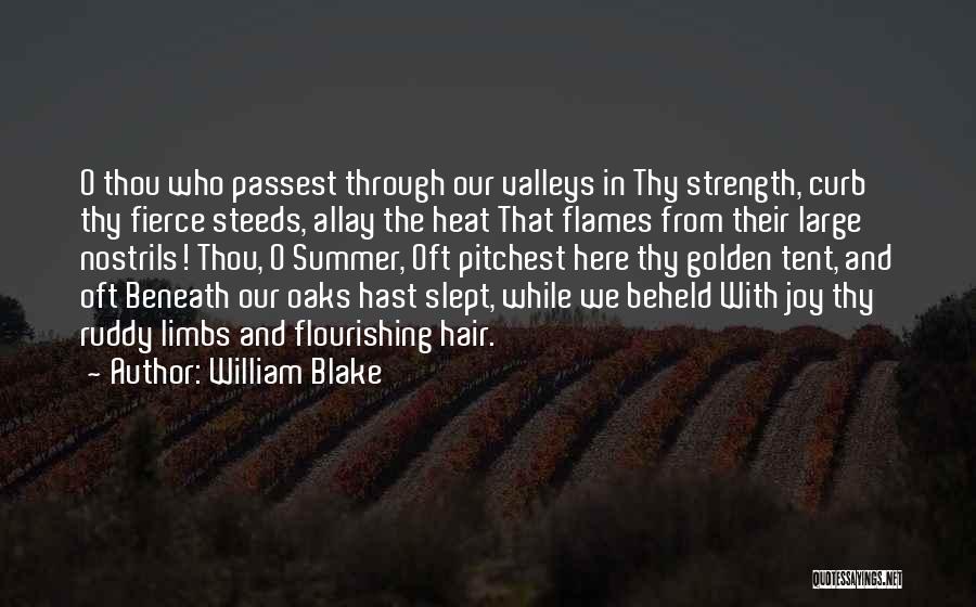 William Blake Quotes: O Thou Who Passest Through Our Valleys In Thy Strength, Curb Thy Fierce Steeds, Allay The Heat That Flames From