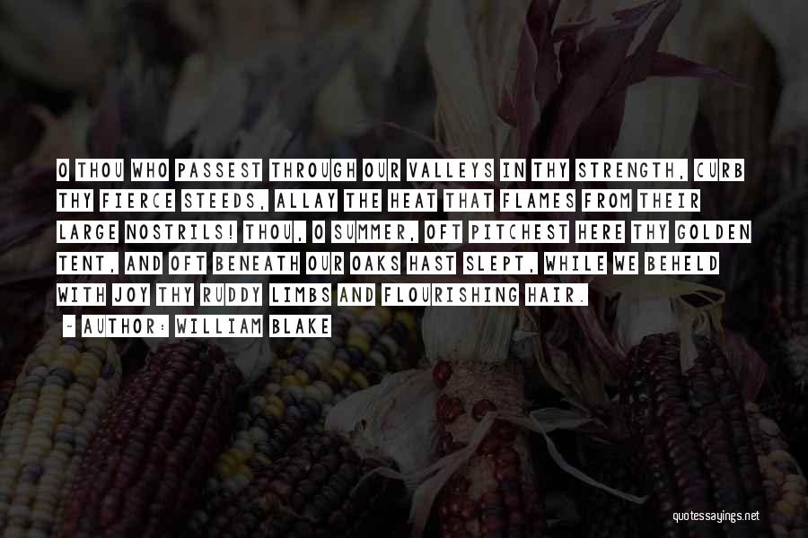 William Blake Quotes: O Thou Who Passest Through Our Valleys In Thy Strength, Curb Thy Fierce Steeds, Allay The Heat That Flames From