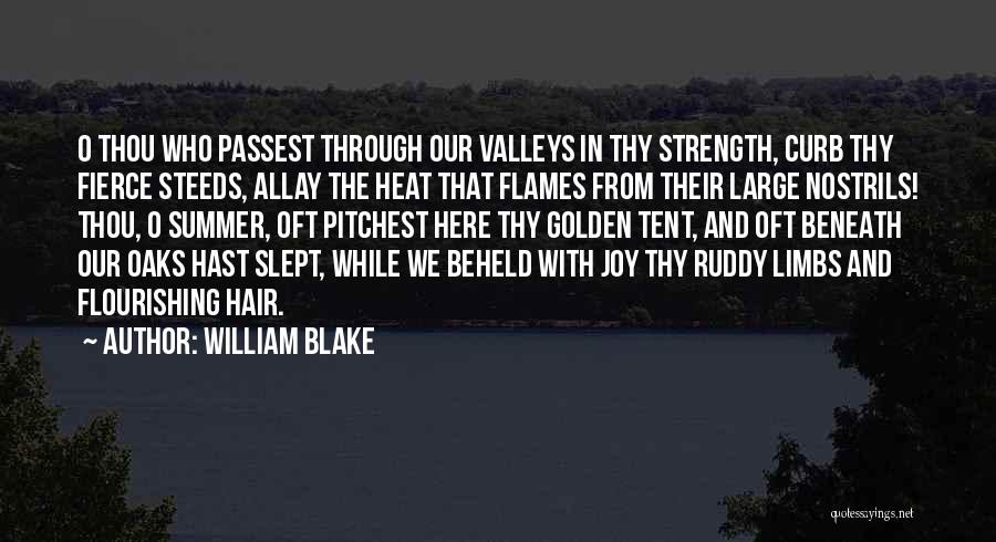 William Blake Quotes: O Thou Who Passest Through Our Valleys In Thy Strength, Curb Thy Fierce Steeds, Allay The Heat That Flames From