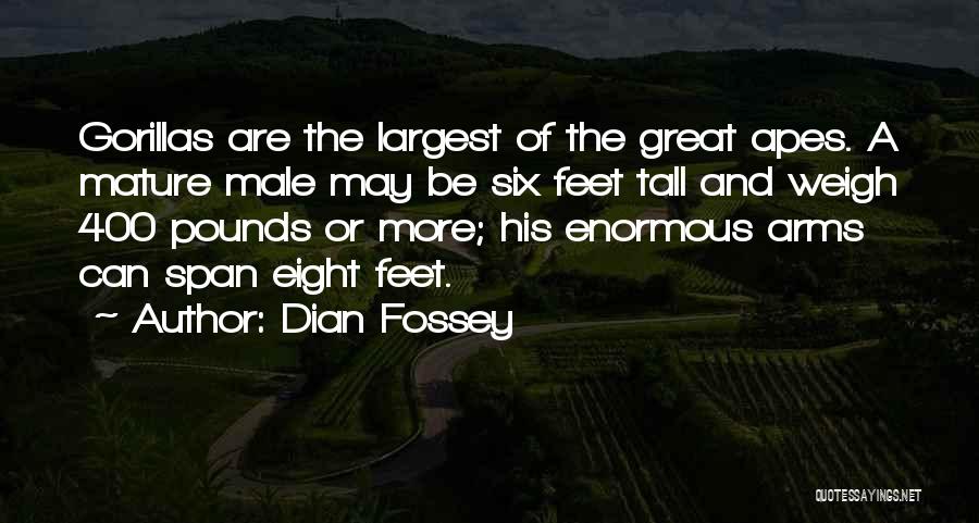 Dian Fossey Quotes: Gorillas Are The Largest Of The Great Apes. A Mature Male May Be Six Feet Tall And Weigh 400 Pounds