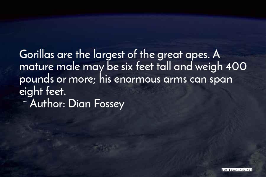 Dian Fossey Quotes: Gorillas Are The Largest Of The Great Apes. A Mature Male May Be Six Feet Tall And Weigh 400 Pounds