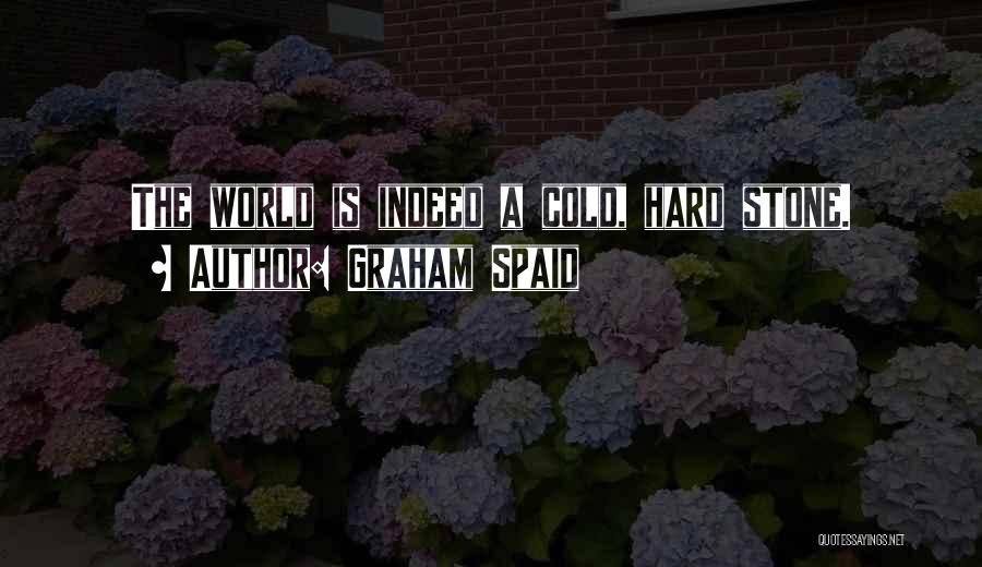 Graham Spaid Quotes: The World Is Indeed A Cold, Hard Stone.